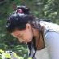 kd06
