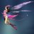 FairyDreamer